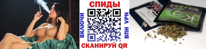 БУТИРАТ буратино  Западная Двина 