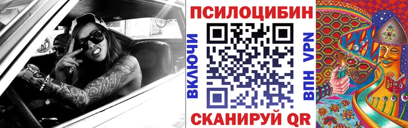 МЕГА ONION  Западная Двина  Псилоцибиновые грибы прущие грибы 